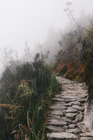 Pathway Through The Fog